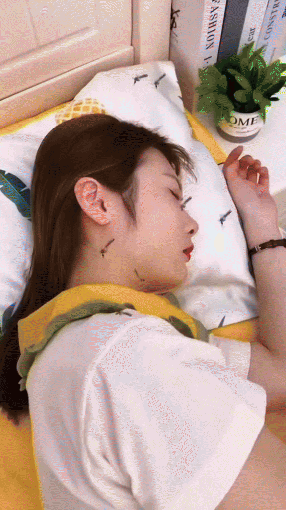 Mosquitero Toldillo Grande