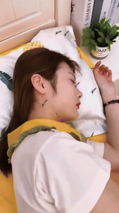 Mosquitero Toldillo Grande